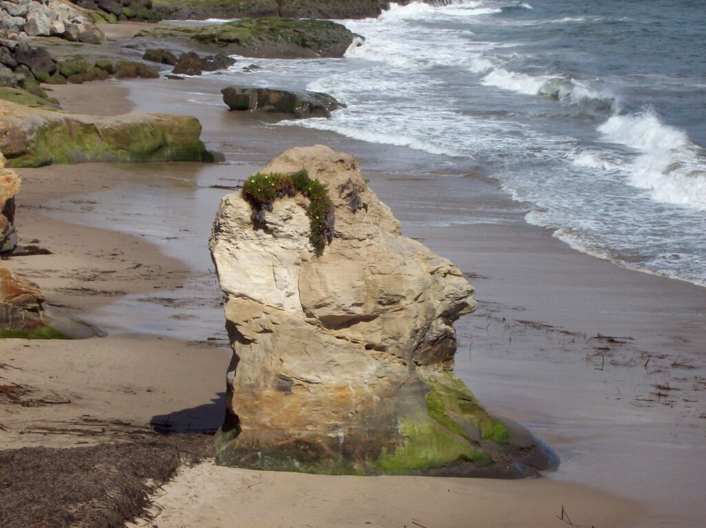 The Illusion of Independence