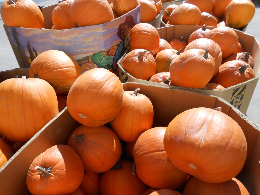 Tuning in to Natural Reciprocity