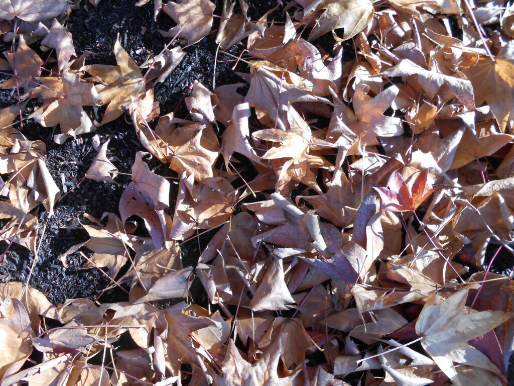 Spiritual Humility and Life Under God’s Grindstone