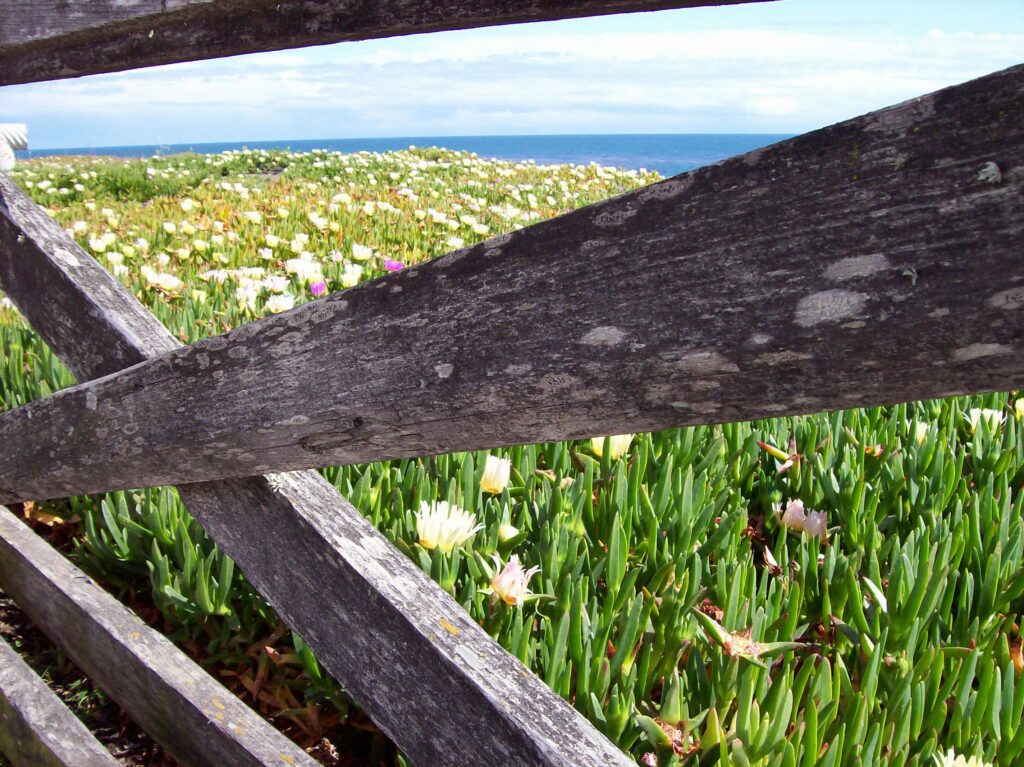 Spiritual Loneliness and Feeling Disconnected