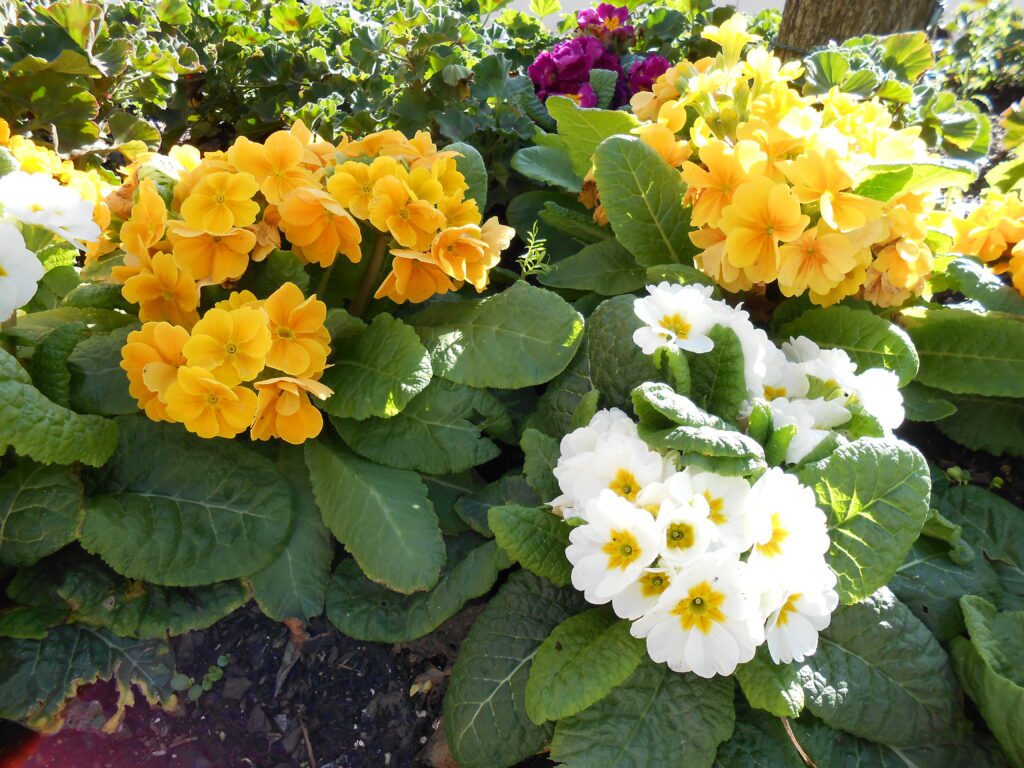 What Should I Do After Awakening?