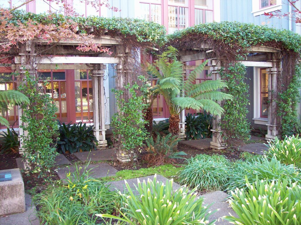 How to Manifest Your Dreams and When Manifestation Becomes Control