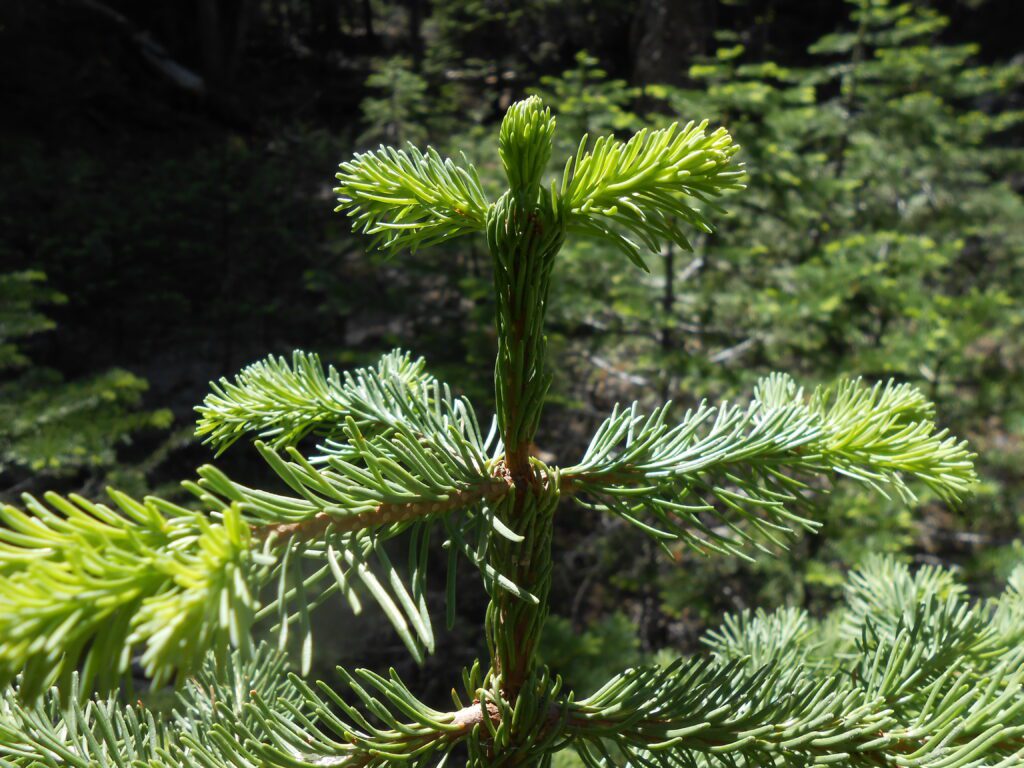 When Other People Notice Your Inner Changes