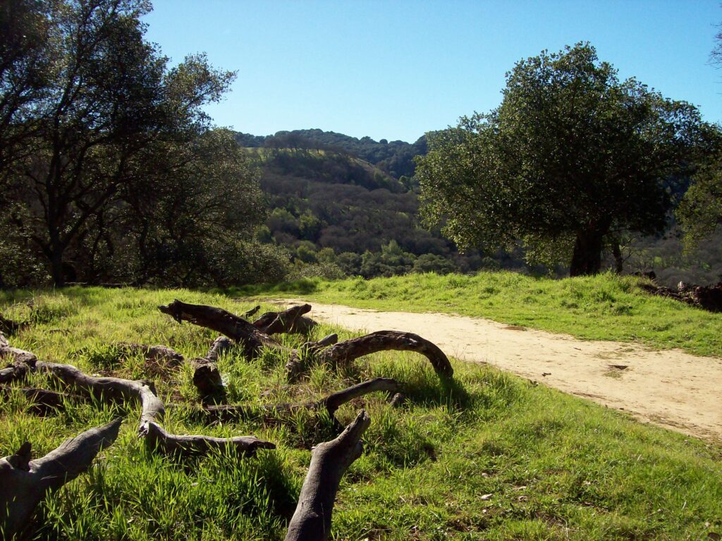 What Is the Spiritual Path?