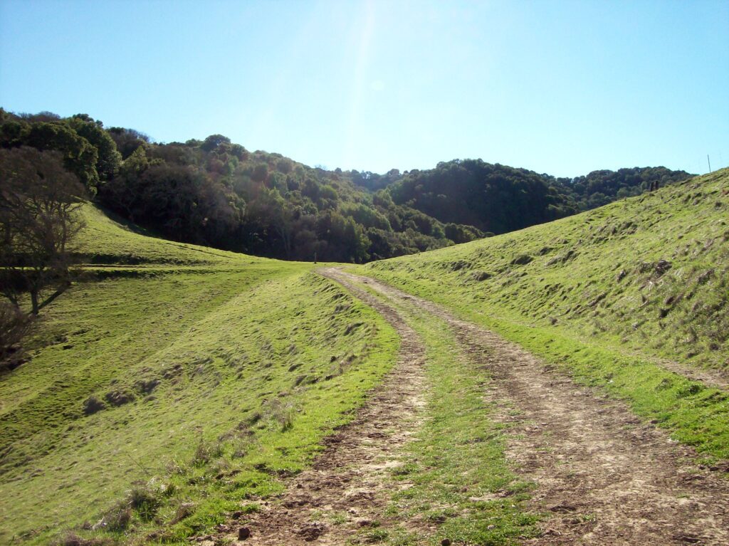 The Arrival of a Teacher natural path, dirt and grass road, clear day