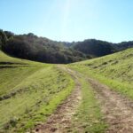 natural path, dirt and grass road, clear day