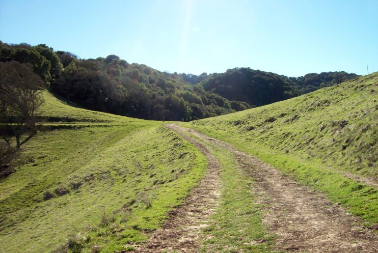 natural path, dirt and grass road, clear day