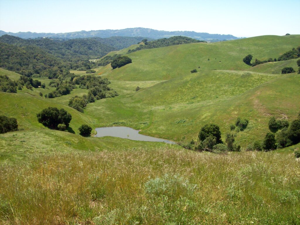 What Is Spiritual Surrender?