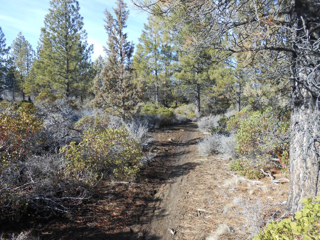 Surrendering the Ego and Feeling Less Free