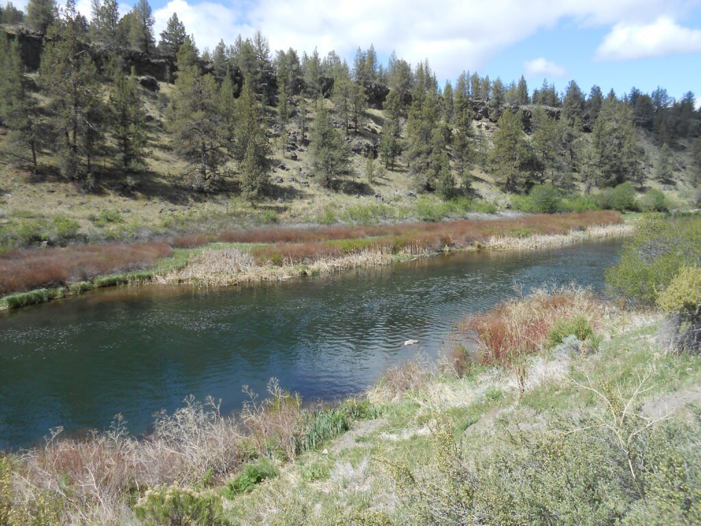 What Is Purpose and Why Do People Want It?