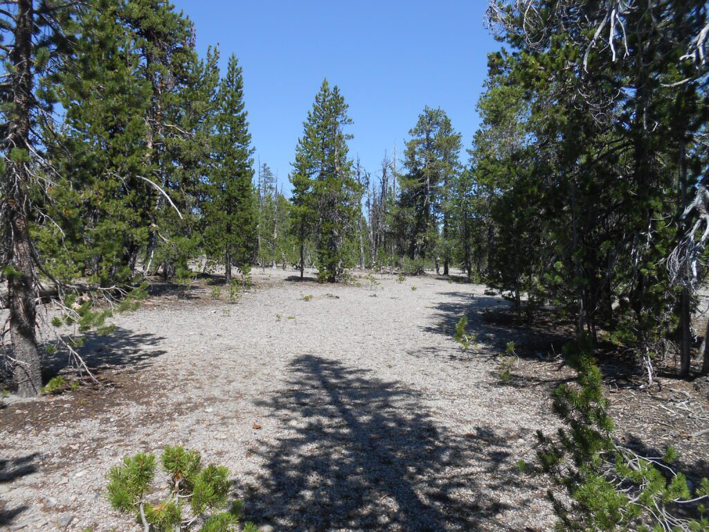 7 Signs of Spiritual Progress (and 7 Signs that Are Not Progress)