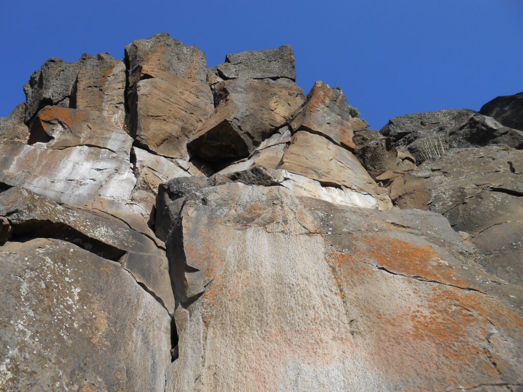 The 2 Pillars of the Ego and the Human Animal Body