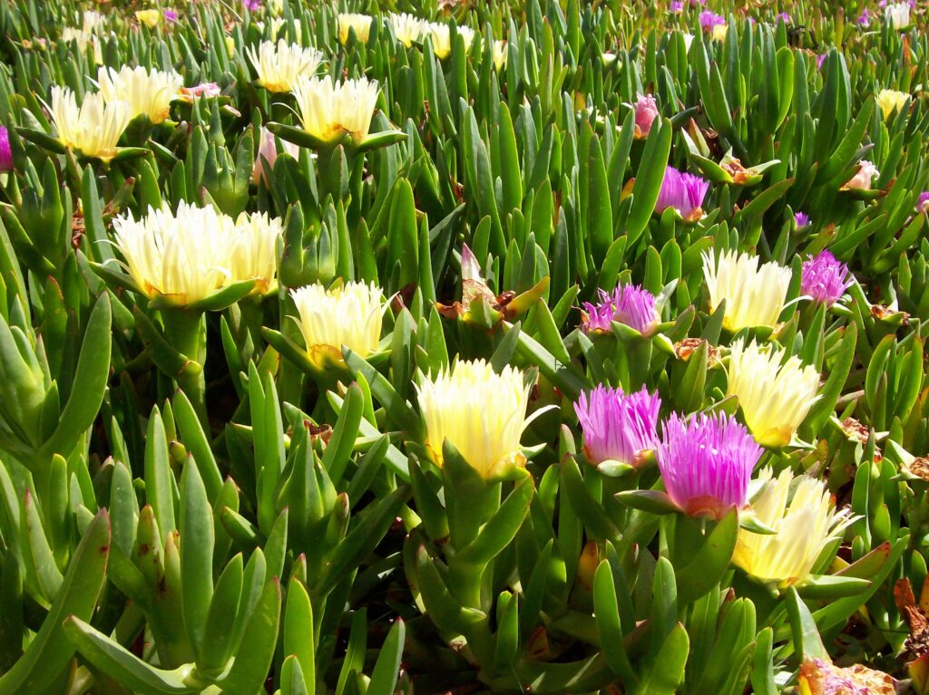 Recording: An Explosion of Spiritual Discoveries