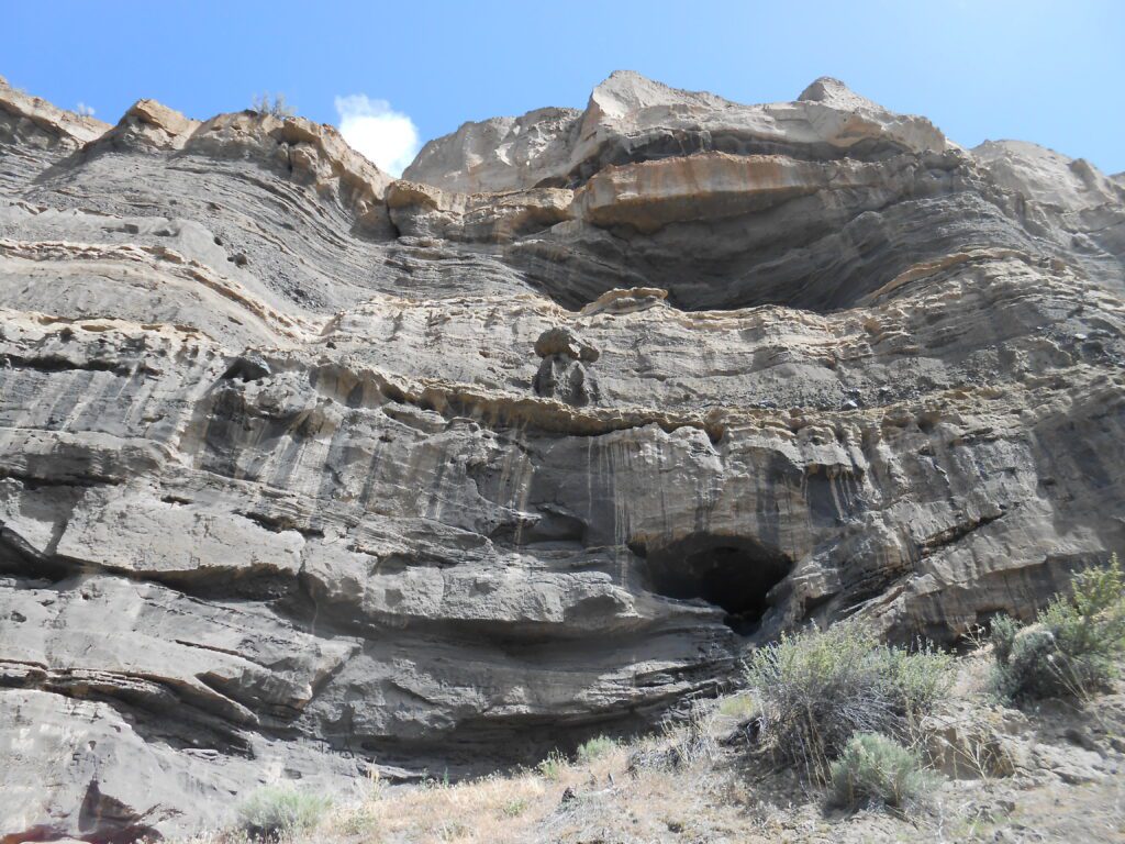 What Are You Doing With Your Time?