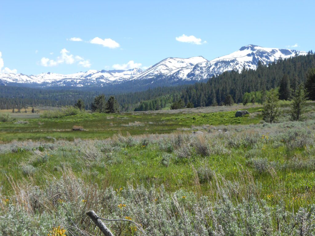 Feeling Uneasy in Spaciousness