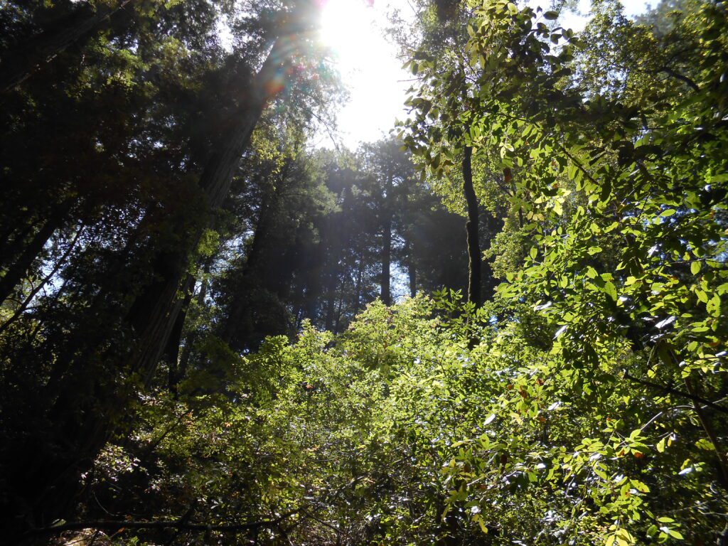 Overwhelmed by Gratitude for Your Teacher