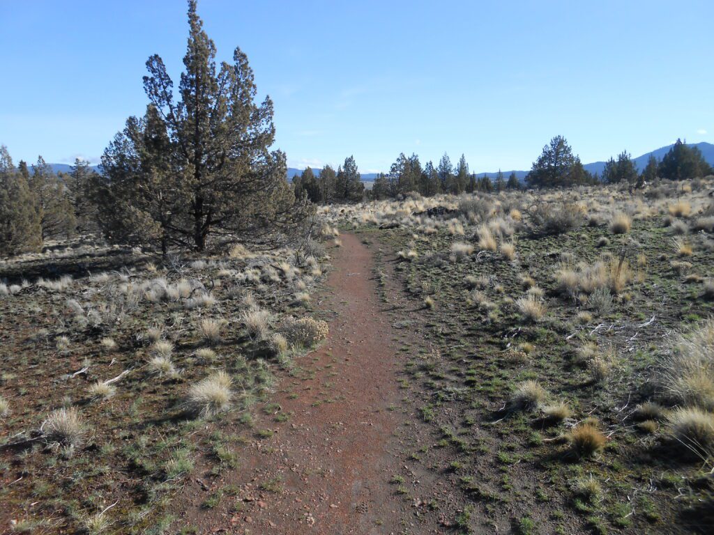 The Pilgrim desert trail, high desert