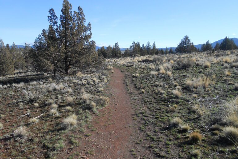 desert trail, high desert