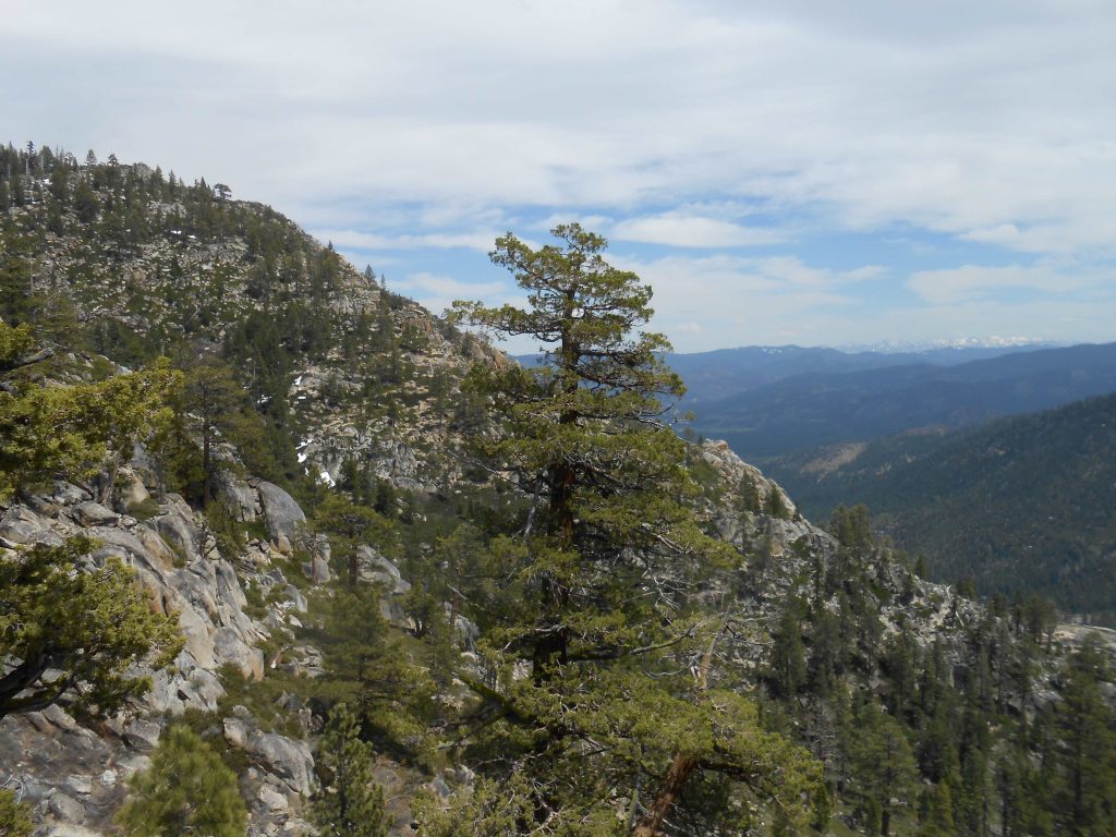 Lazarus and His Grave