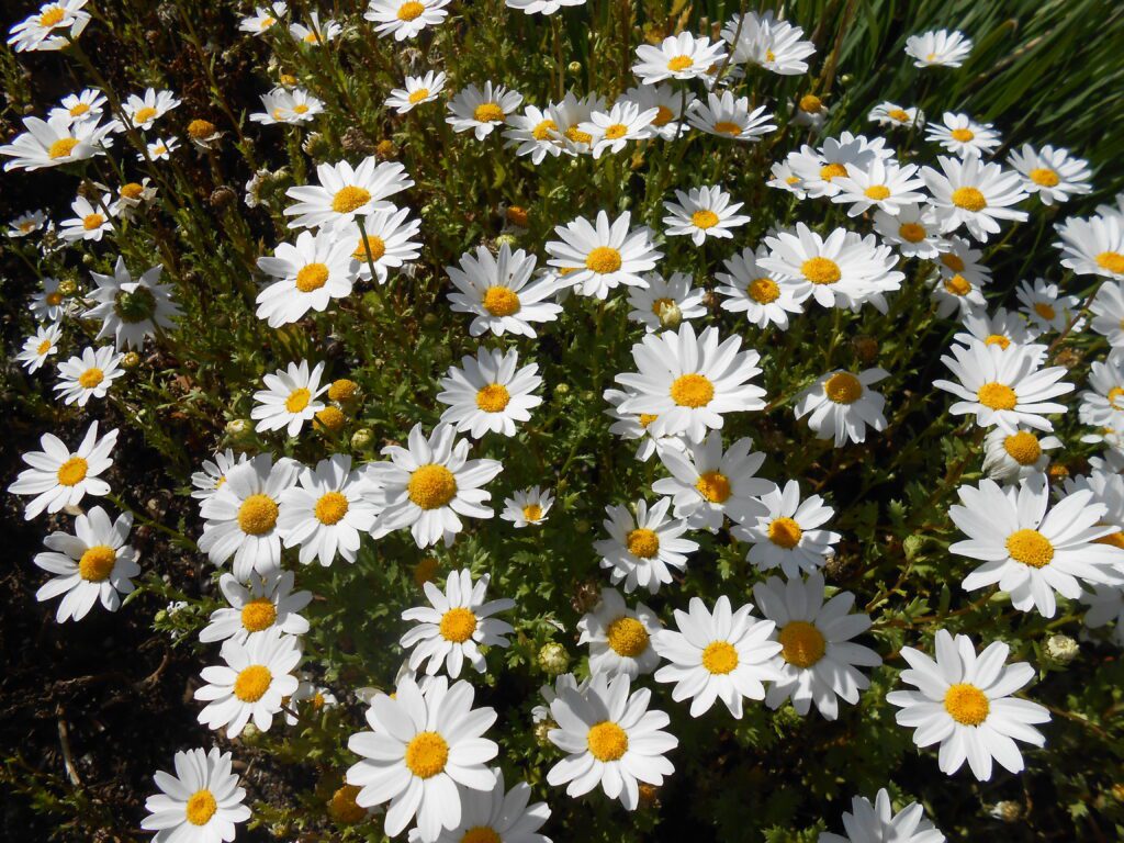 5 Signs of a Spiritual Awakening