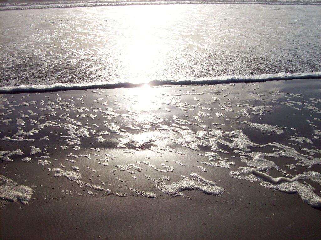 Inaction and Non-action on the Spiritual Path