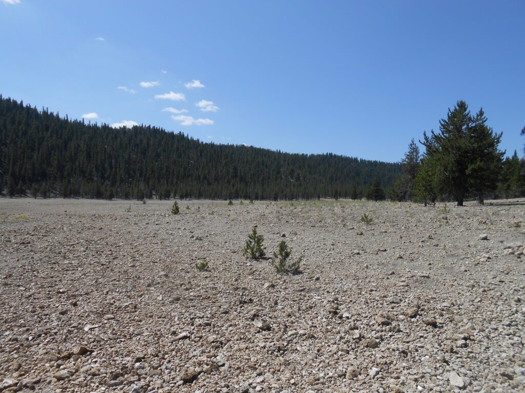 Being a Good Spiritual Student