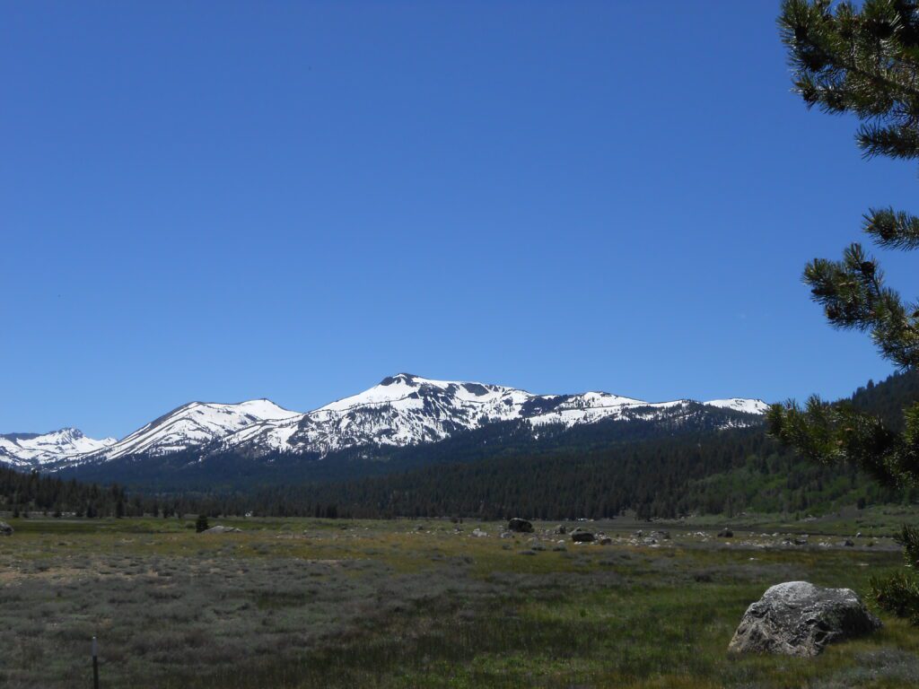 How Do I Make Decisions from No-mind?