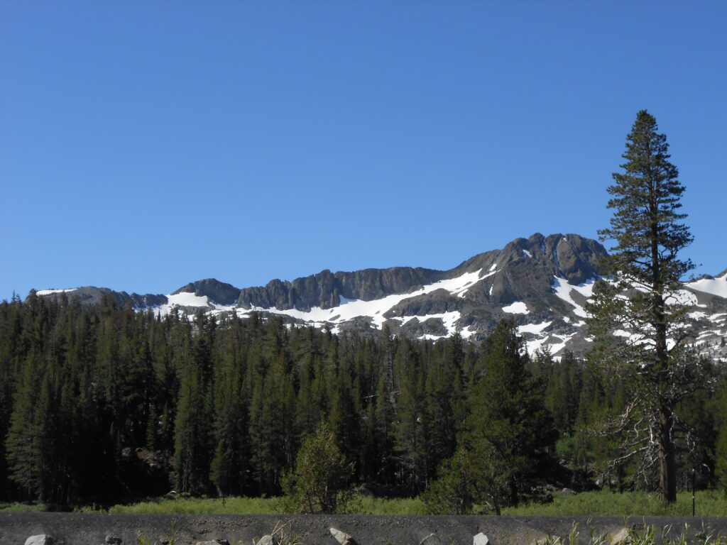 A Critical Question mountain, snow, blue sky, evergreens