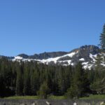 mountain, snow, blue sky, evergreens