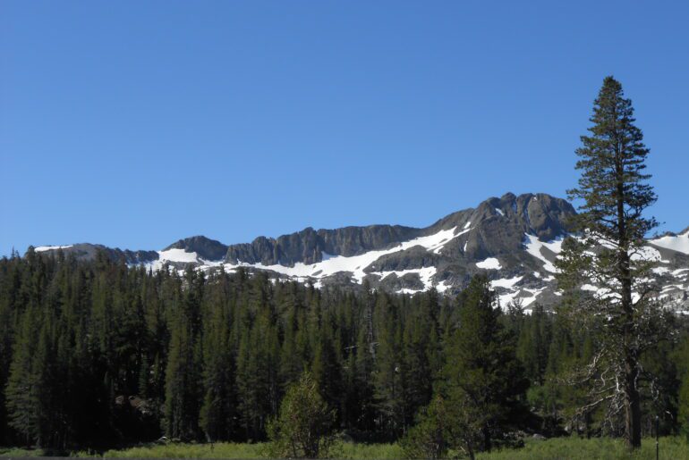 mountain, snow, blue sky, evergreens