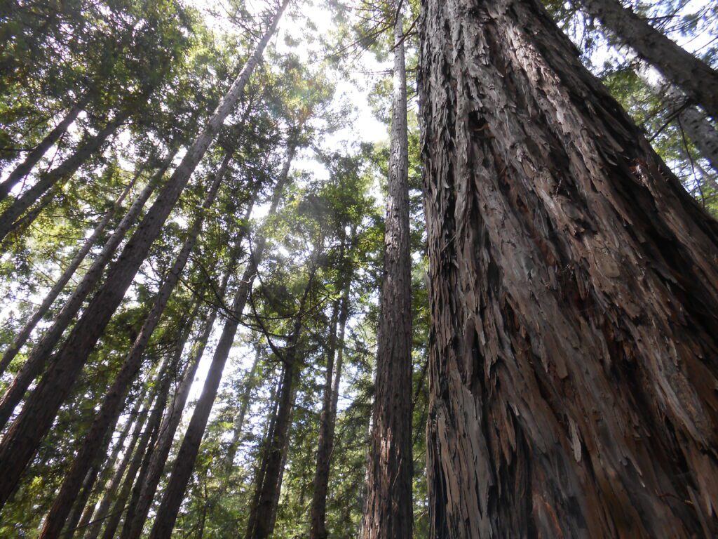 Discovering the Depths of Your Human Potential