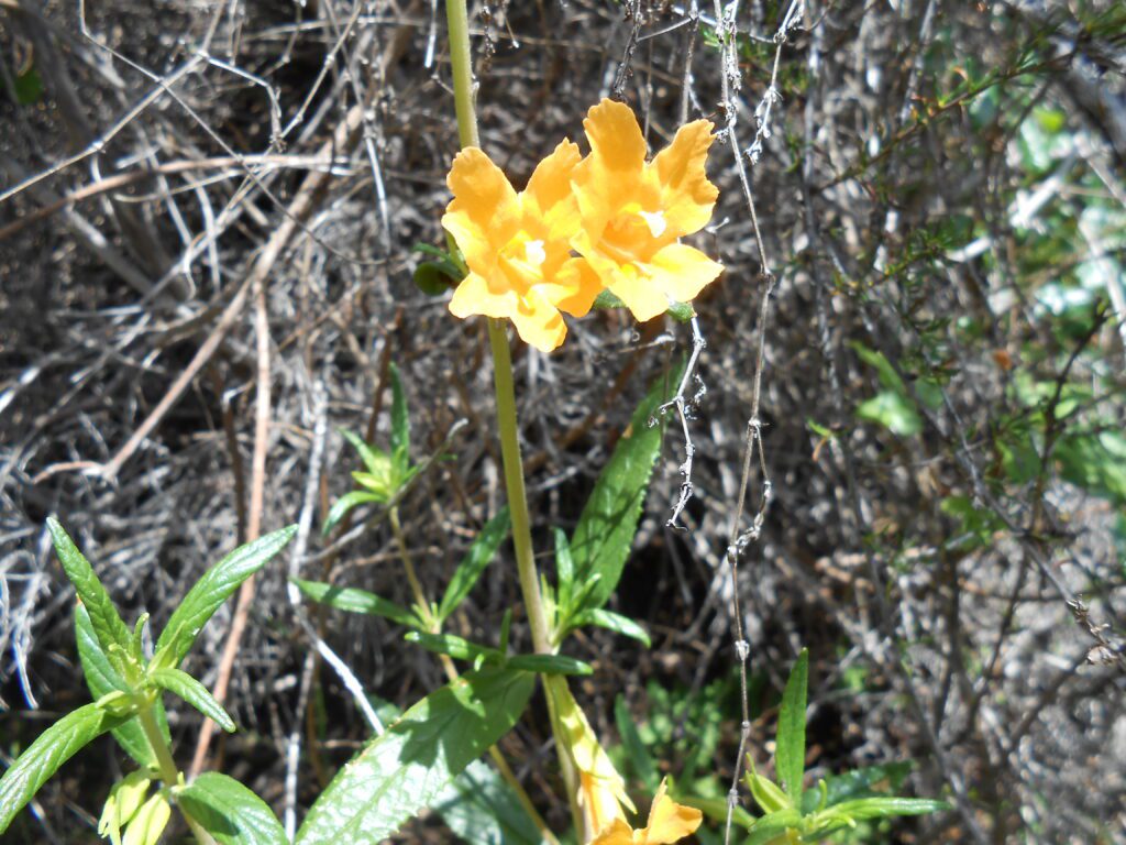 Valentine’s Day and True Love