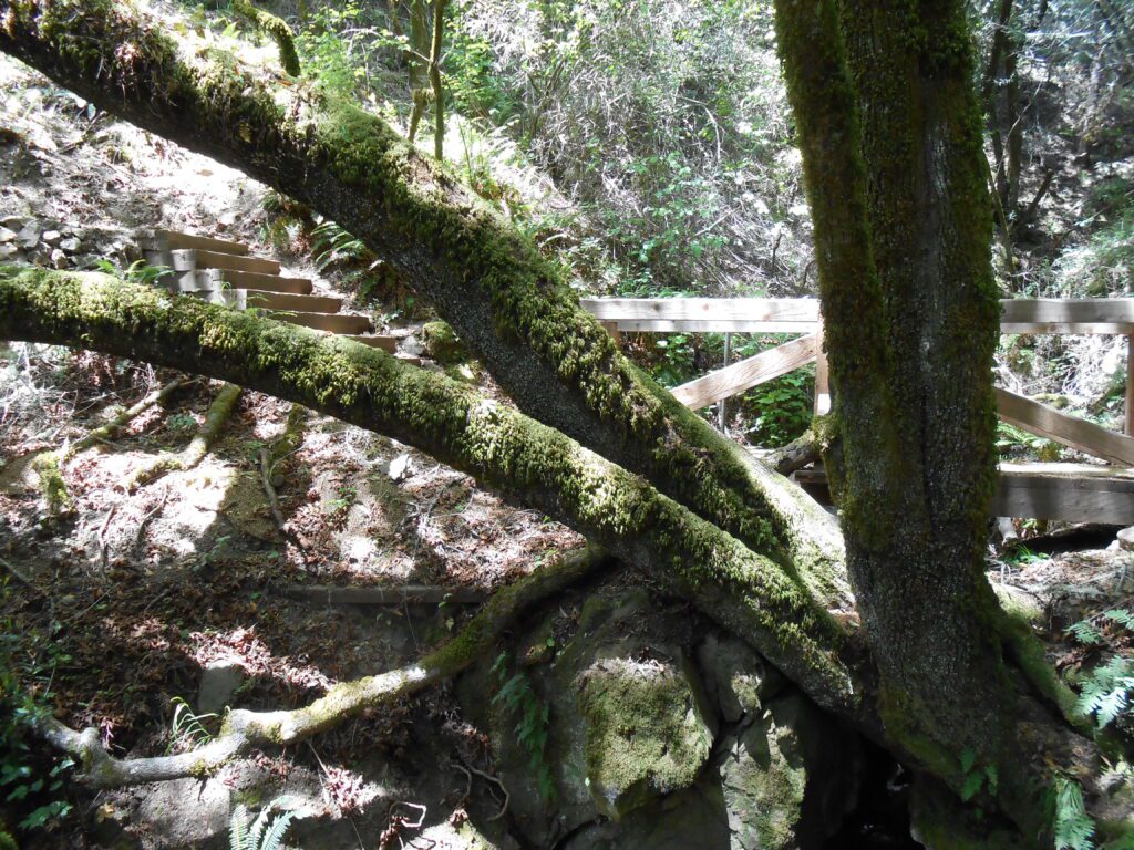 It’s Never the Right Time for the Ego