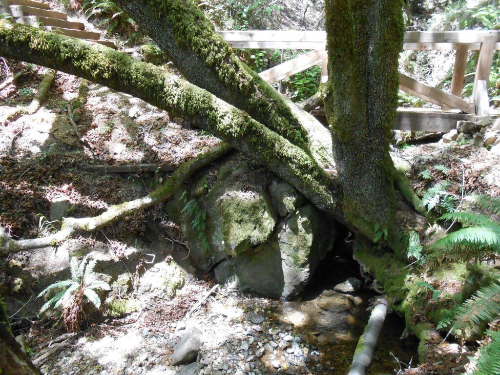 Major Issues Hidden in Plain Sight