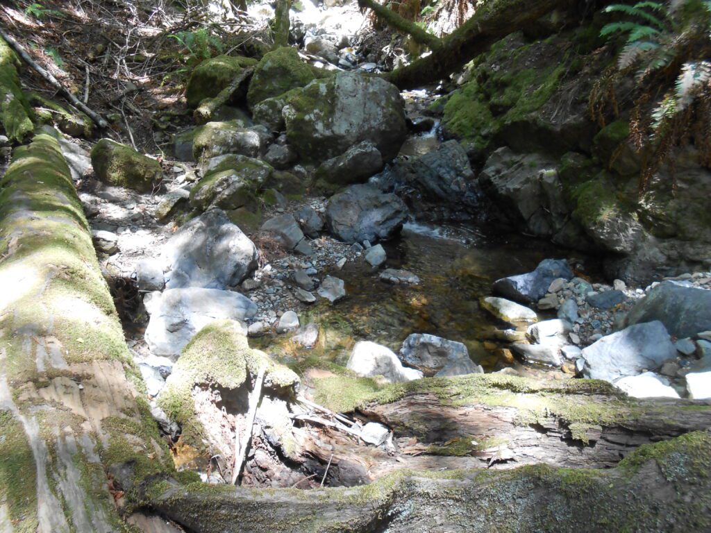 Apathy and Losing Desires Class