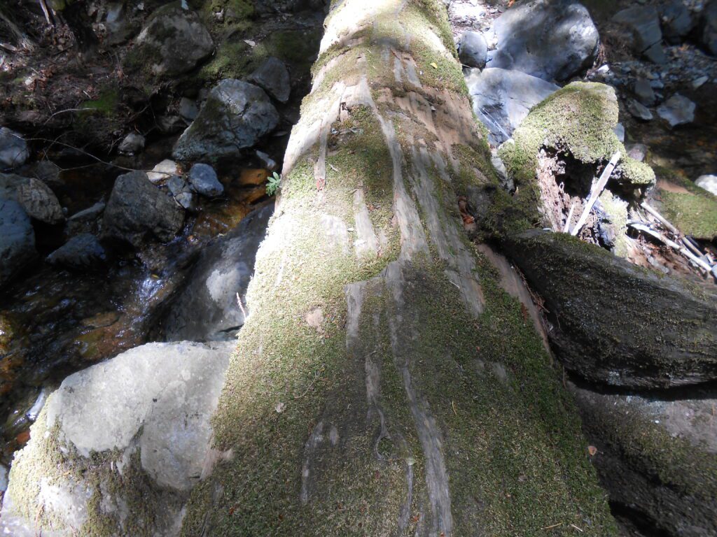 Experiencing Spiritual Information Overload?