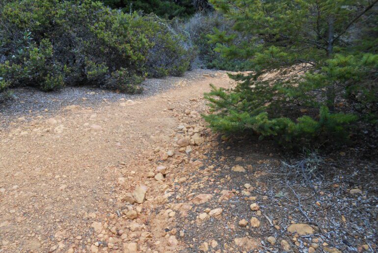 Muir Woods, hiking trail,