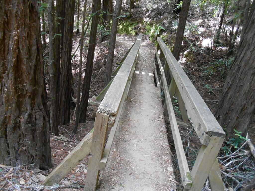 Laziness and a Wasted Spiritual Awakening