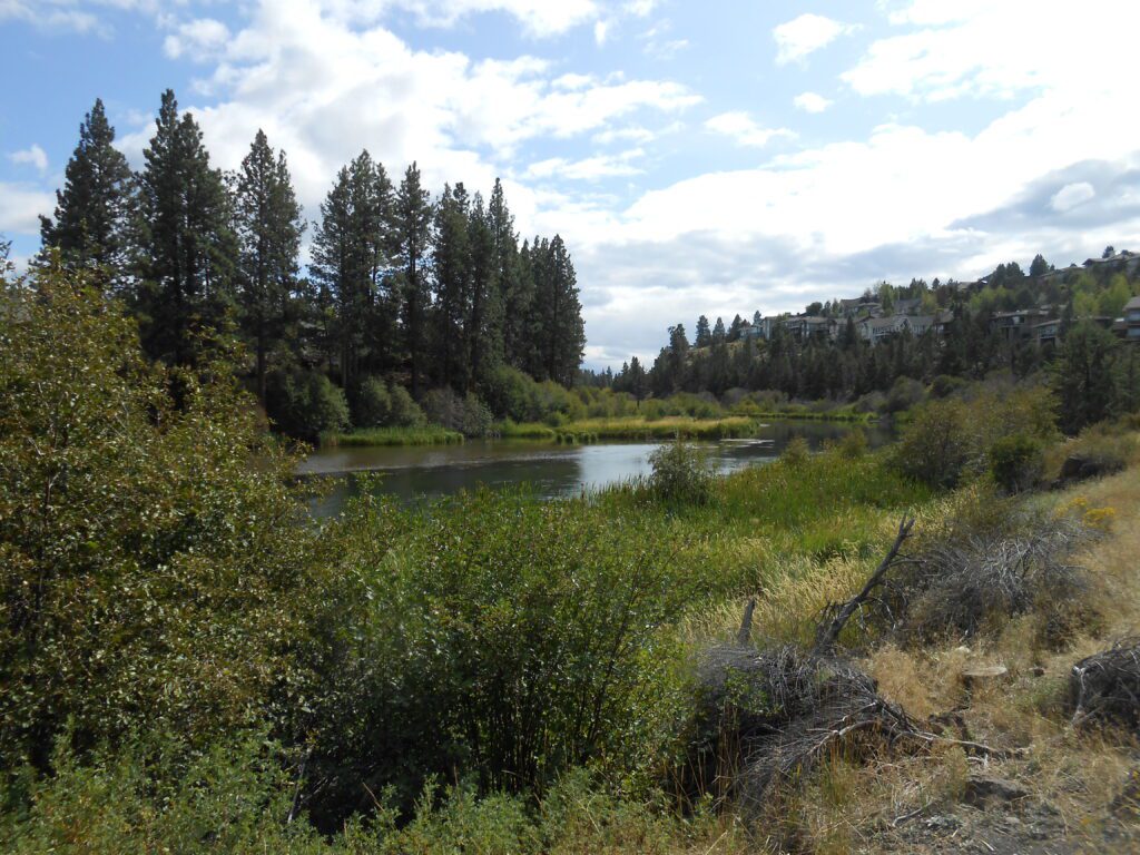 Becoming a Monthly Supporter