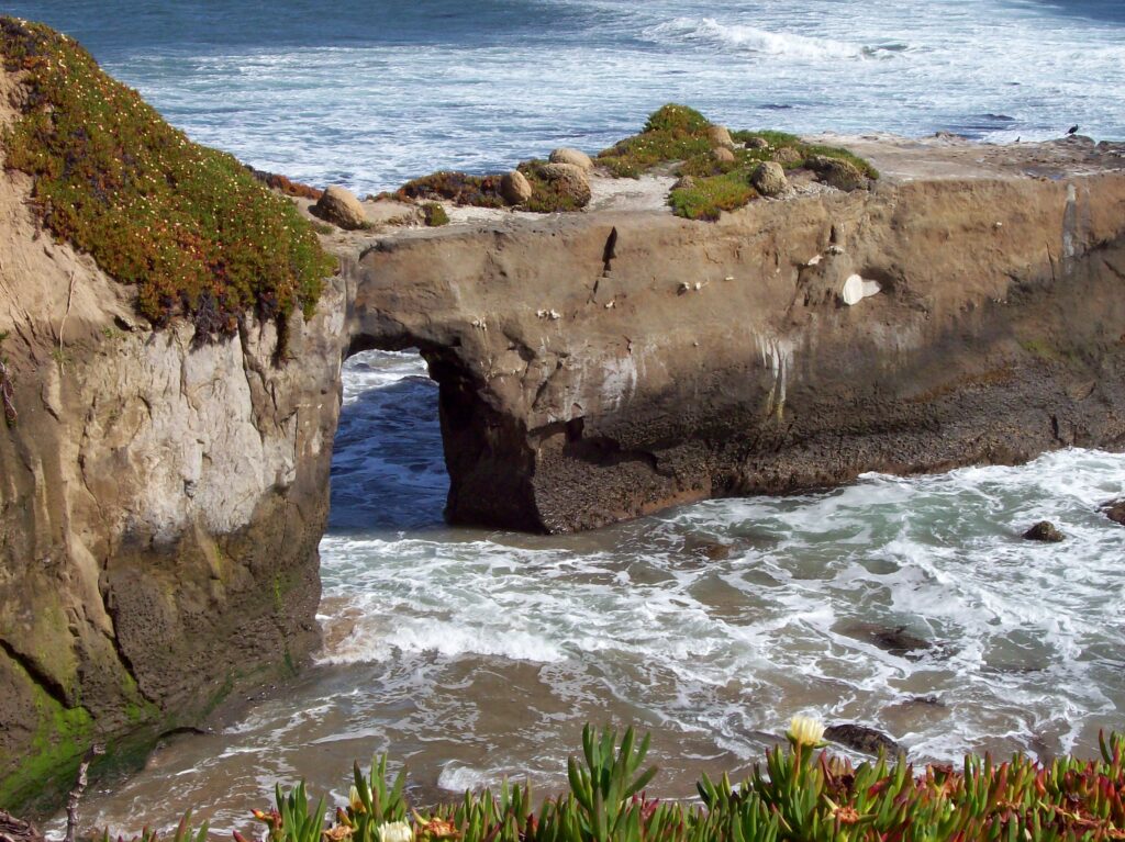 Focusing on the Wrong Pain, the Wrong Issues