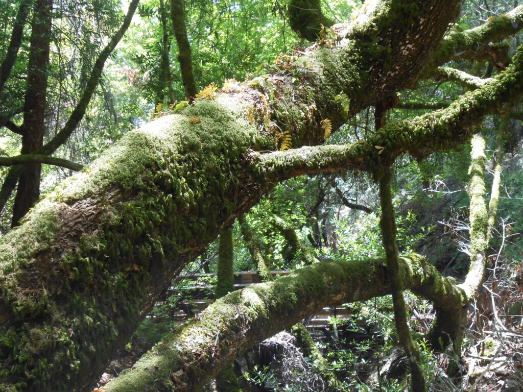 Lost in a Savior Complex