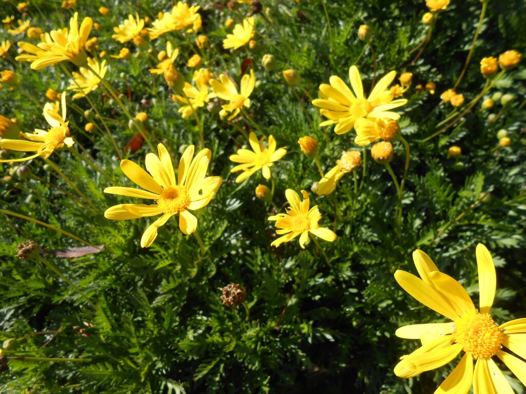 Recording: Choosing to be a Spiritual Teacher or Leader