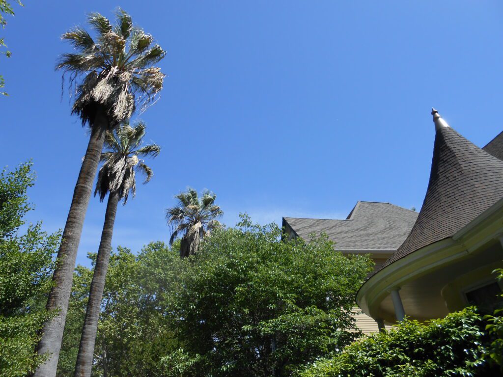 The Embracing Your Light Phase