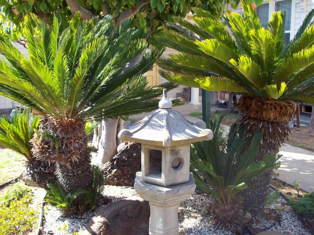 Life After Spiritual Death and Truly Living