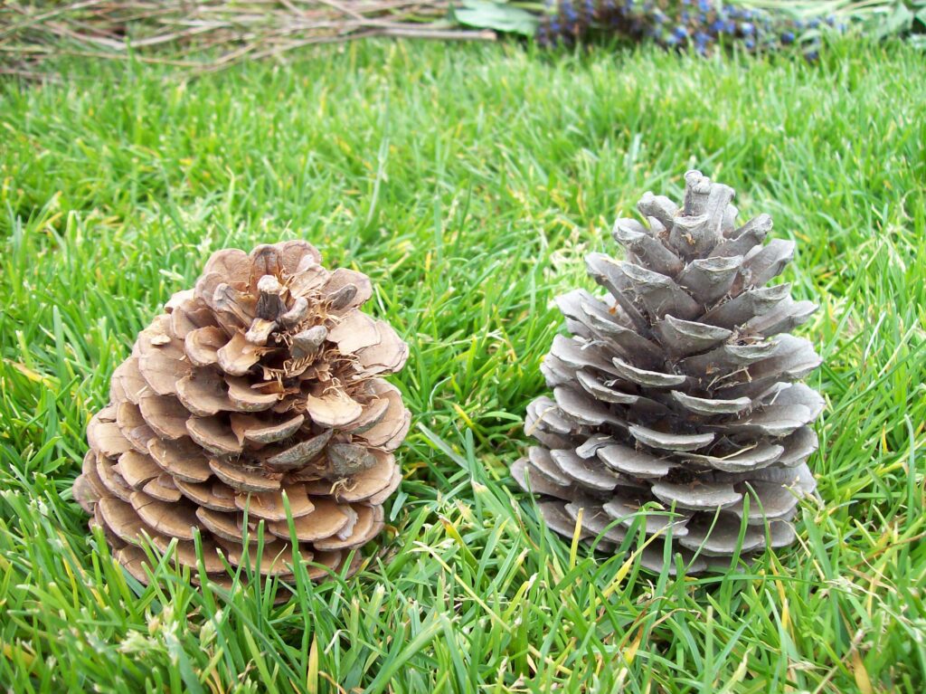 Losing Your Gender and Sexual Identities