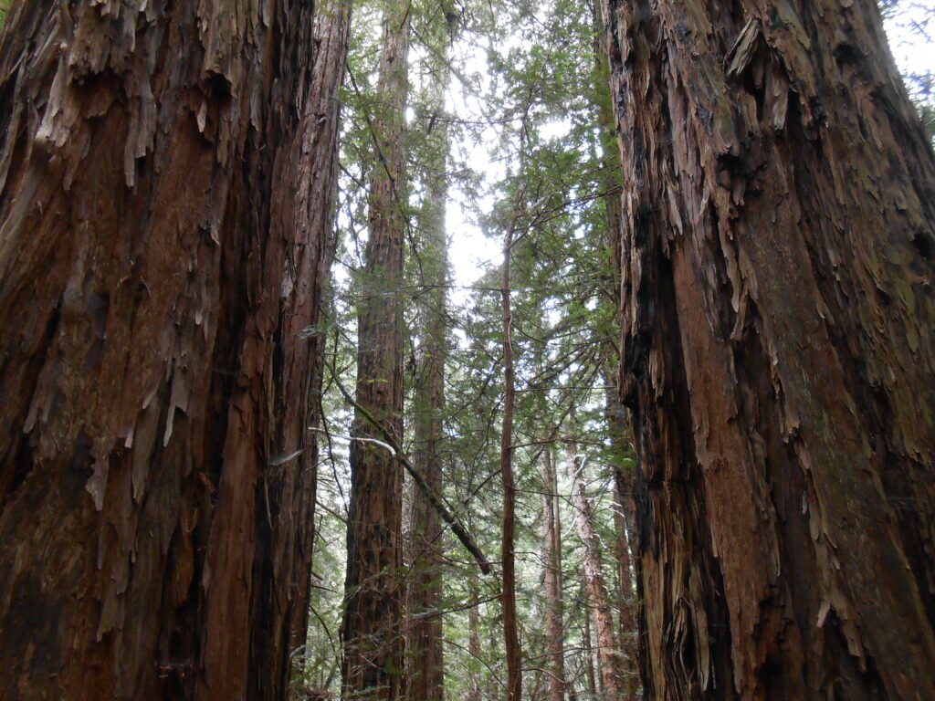 Being Present but not Lost in the Moment