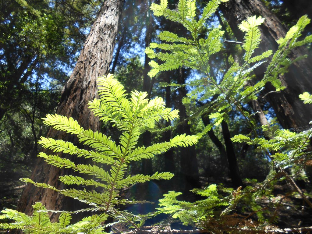 Building Your Personal Spiritual Community