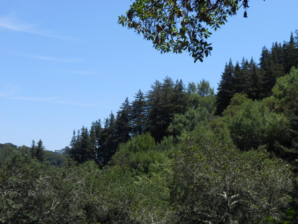 5 Qualities That Emerge from Effortless Spiritual Growth