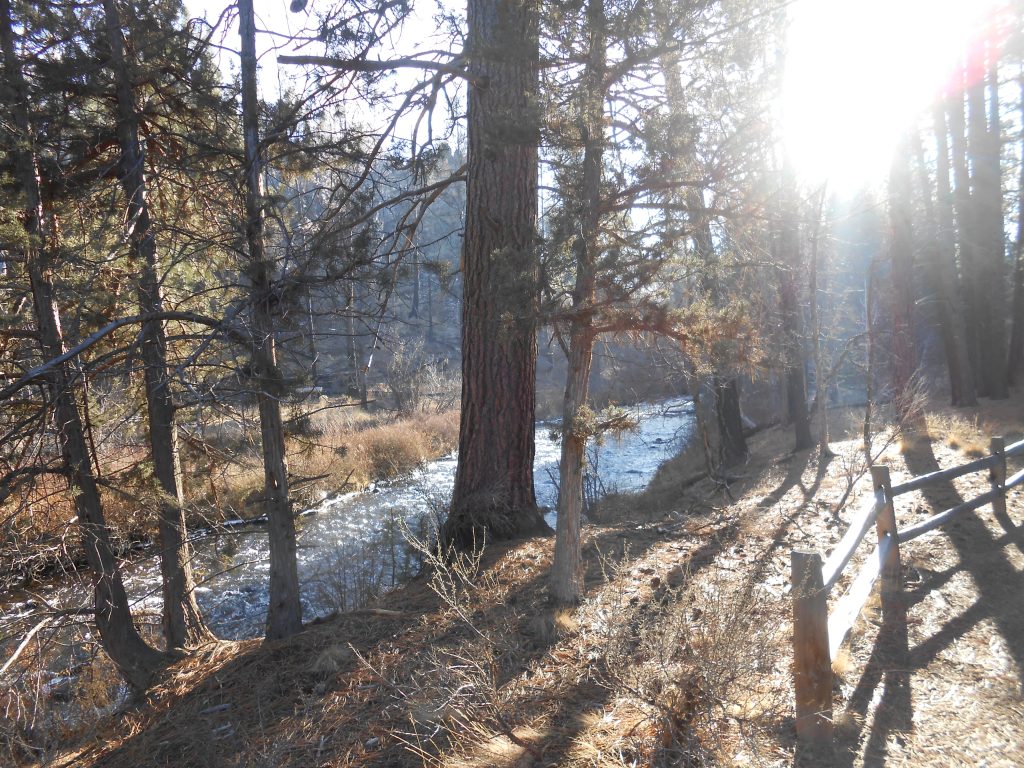 One Sign of True Spiritual Maturity