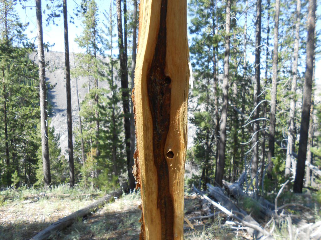 Astrology and Spiritual Awakening